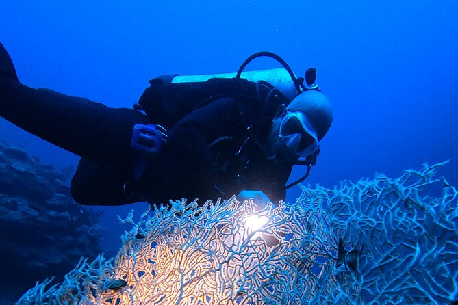 2 Hour Private Night Diving in the Red Sea of Aqaba - What the 45 minutes underwater may reveal