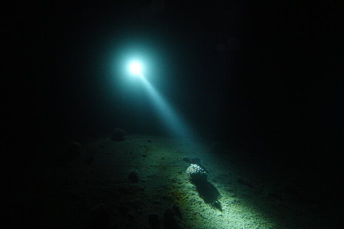 2 Hour Private Night Diving in the Red Sea of Aqaba - The benefit of a private group