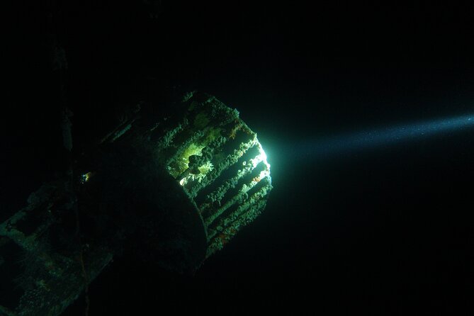 2 Hour Private Night Diving in the Red Sea of Aqaba - Is $86.92 a fair price?
