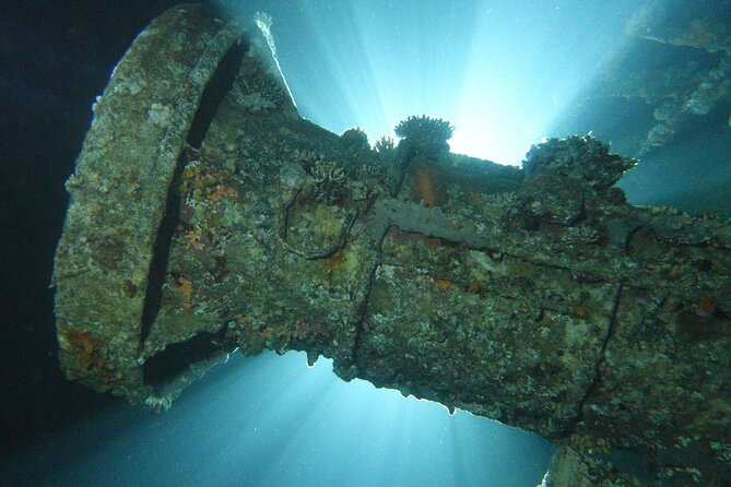 2 Hour Private Night Diving in the Red Sea of Aqaba - The 8:00 pm start in Aqaba