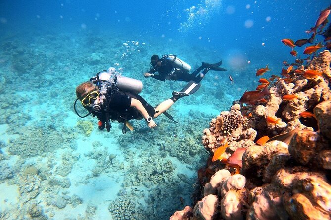 2-Hour Private Scuba Experience in Aqaba - Photos and videos make this easier to remember