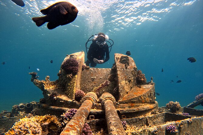 2-Hour Private Scuba Experience in Aqaba - Is $45 a fair price?