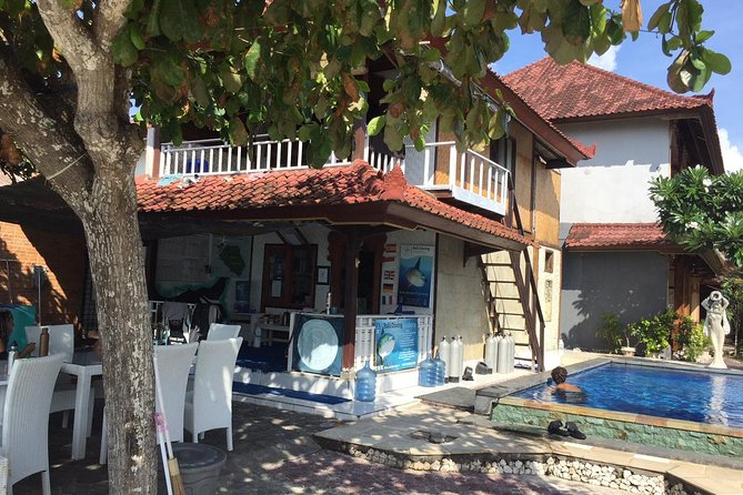 2 or 3 dives in Nusa Lembongan and Penida, for certified diver (in Lembongan) - Gamat Bay and the value of the third session