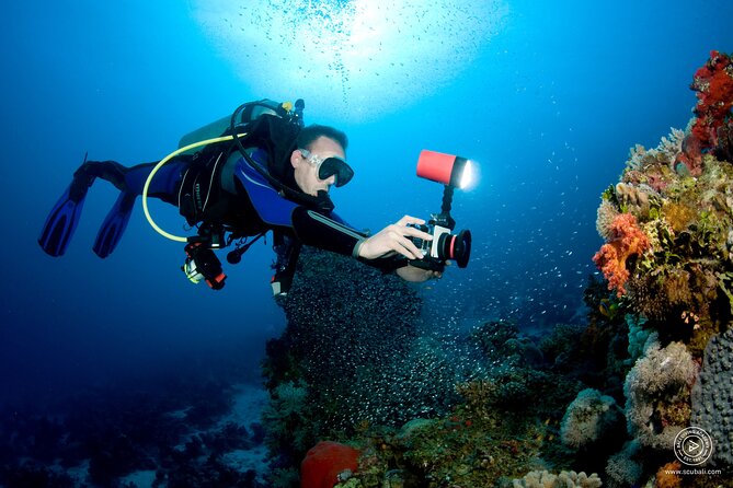 2 or 3 dives in Nusa Lembongan and Penida, for certified diver (in Lembongan) - What is included, and what needs checking