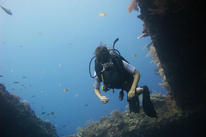 2 PADI Certified Dives at Tulamben from Bali - Reading the USAT Liberty’s depth limits correctly