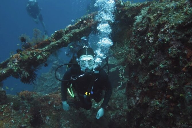 2 PADI Certified Dives at Tulamben from Bali - What the strongest praise tells you