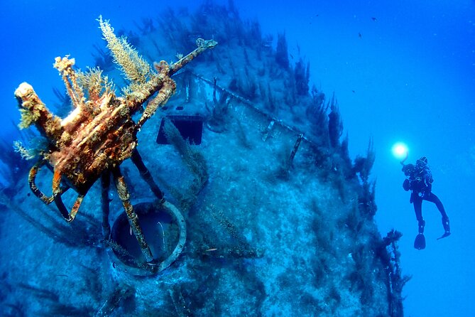 2 Scuba Fun Dives for Certified divers in St Paul's Bay - What you might see below the surface