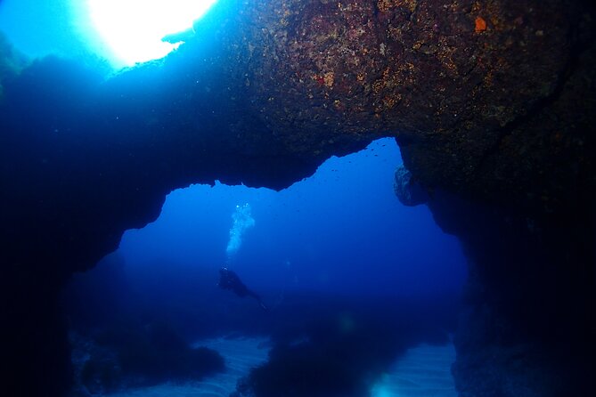 2 Scuba Fun Dives for Certified divers in St Paul's Bay - Timing, cancellations, and conditions