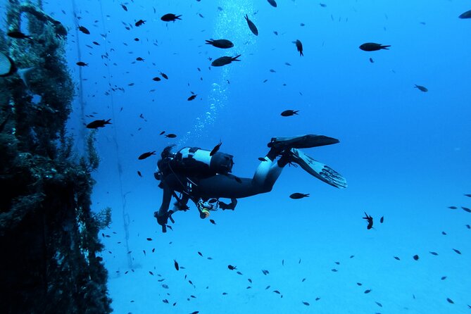 2 Scuba Fun Dives for Certified divers in St Paul's Bay - Two sessions, two chances to find your comfort level