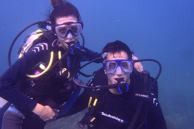 2 Tank Boat Dives for Certified Divers - A Morning Built Around Two Boat Runs