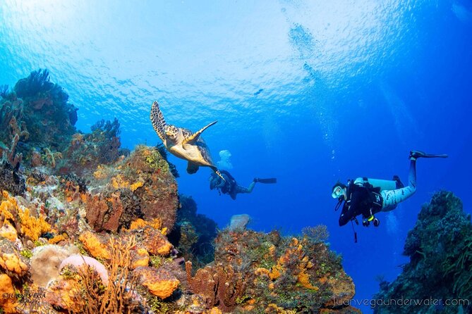 2 Tank Cozumel Reef Boat Dives - The surface interval, snacks, and boat rhythm