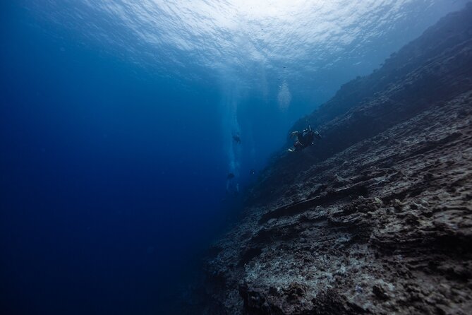2-Tank Dive Featuring the Molokini Crater - Key points to know before booking
