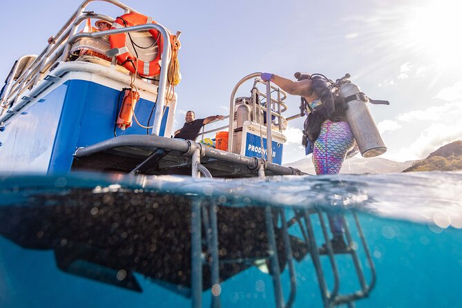 2-Tank Dive Featuring the Molokini Crater - What two tank stops mean in practice