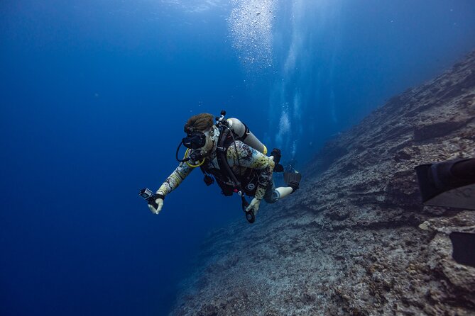 2-Tank Dive Featuring the Molokini Crater - Should you book it?