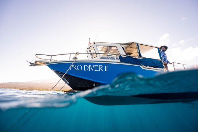 2-Tank Dive Featuring the Molokini Crater - A small group with an actual guide in the water
