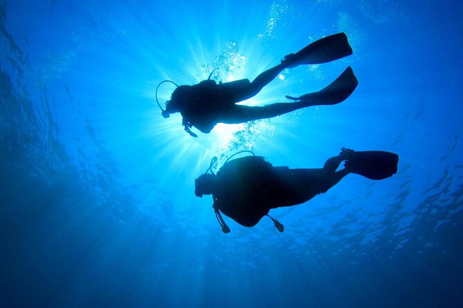 2 Tank Dive (for certified divers) - Conditions, comfort, and realistic expectations