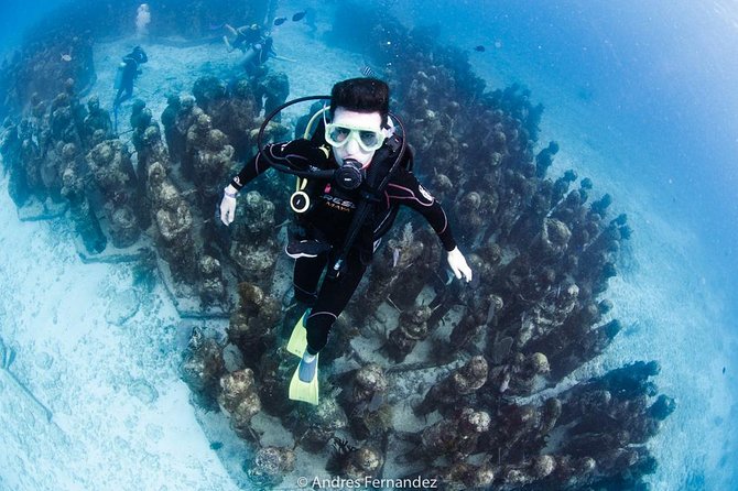 2 Tank Dives MUSA and Manchones reef (Certified divers) - MUSA turns a short boat ride into an underwater art walk