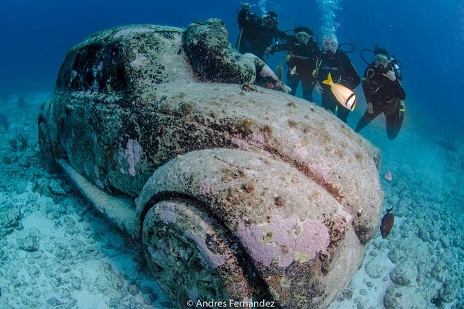 2 Tank Dives MUSA and Manchones reef (Certified divers) - The gear and guide support keep the morning simple