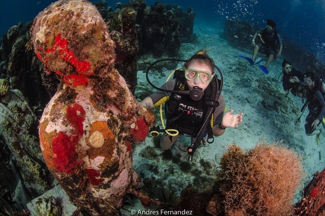 2 Tank Dives MUSA and Manchones reef (Certified divers) - What the four-hour schedule feels like