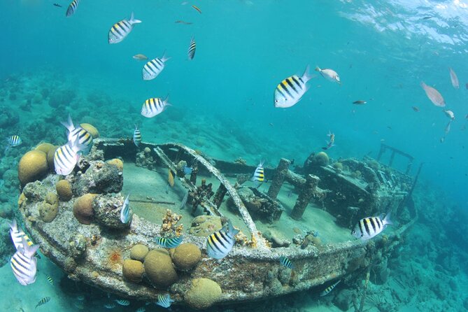 2 Tank Guided Dive half-day - Booking, pickup, and cancellation details