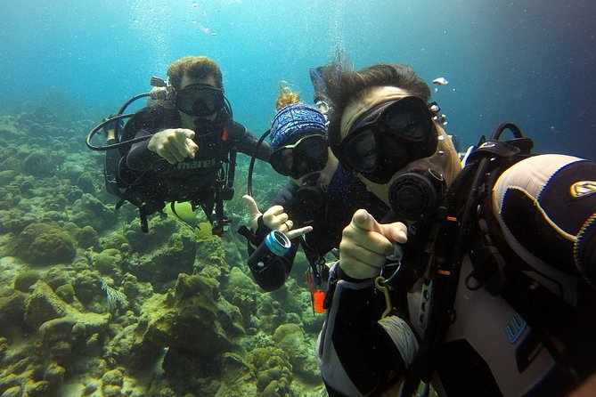2 tank guided dive House Reef (Pierbaai Reef and Car Pile) - Key points at a glance