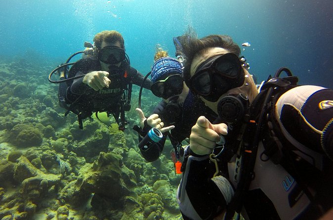 2 tank guided dive House Reef (Pierbaai Reef and Car Pile) - What the $109 price really covers