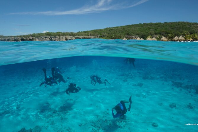 2 tank guided dive House Reef (Pierbaai Reef and Car Pile) - The small-group format and guide support