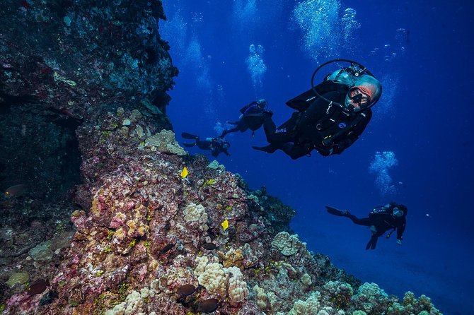 2 Tank Lanai Cathedral Scuba Dive Via Boat for Certified Divers - Equipment, snacks, and what the $306.89 price buys