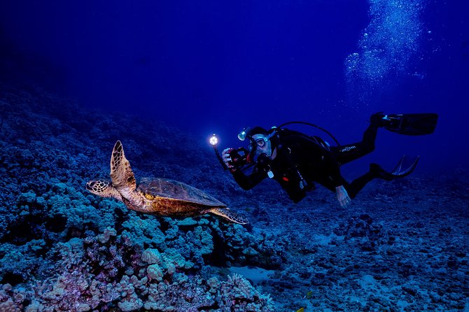 2 Tank Lanai Cathedral Scuba Dive Via Boat for Certified Divers - Who will get the most from this outing