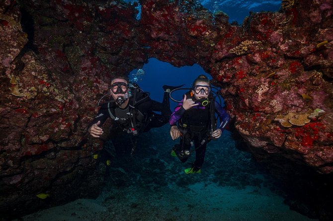 2 Tank Lanai Cathedral Scuba Dive Via Boat for Certified Divers - Should you book the Lanai Cathedral trip?