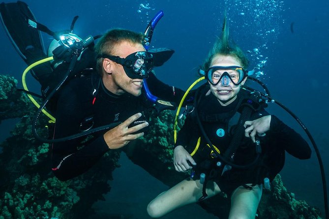 2-Tank Maui Turtle Scuba Dive or Snorkel Boat Tour - Two underwater sessions around Maui’s turtle reefs