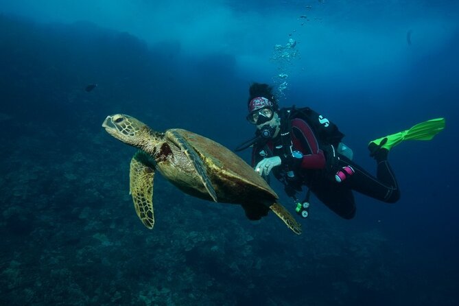 2-Tank Maui Turtle Scuba Dive or Snorkel Boat Tour - The surface break: simple, useful, and short