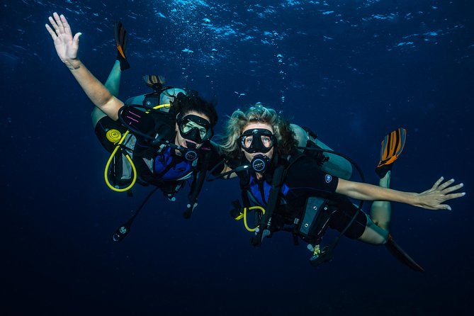 2-Tank Maui Turtle Scuba Dive or Snorkel Boat Tour - Equipment, certification, and the real price