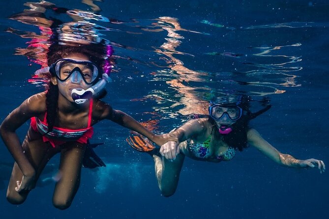 2-Tank Maui Turtle Scuba Dive or Snorkel Boat Tour - How the captain chooses Mala, Honolua Bay, or Olowalu