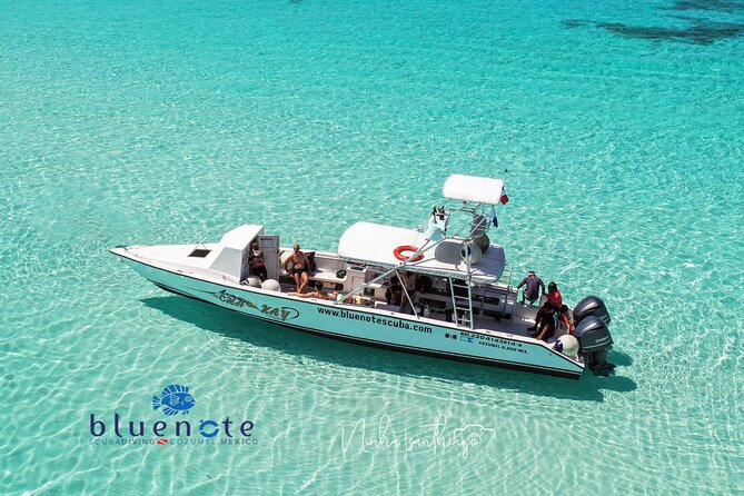2 Tank Morning Dive: Scuba Diving in Cozumel - Key points at a glance