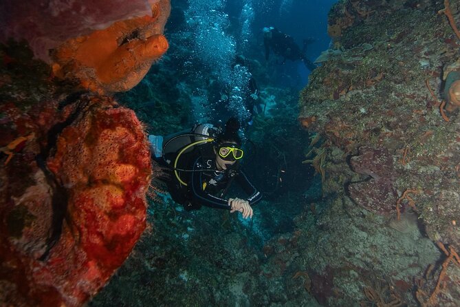2 Tank Morning Dive: Scuba Diving in Cozumel - First stop: coral walls, tunnels, and an easy drift
