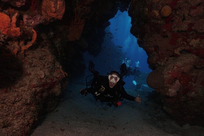 2 Tank Morning Dive: Scuba Diving in Cozumel - Second stop: more fish, changing current, and a flexible profile