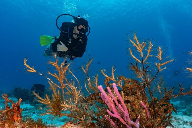 2 Tank Morning Dive: Scuba Diving in Cozumel - Guides, safety, and the feel of a small operation
