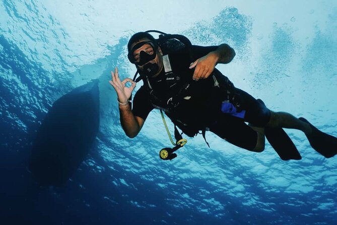 2 Tank Morning Dive: Scuba Diving in Cozumel - Who should book this Cozumel trip