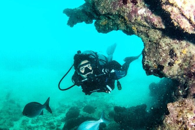 2-Tank Scuba Boat Trip in World-Class Sites @ Copamarina - Two underwater settings, one compact boat trip