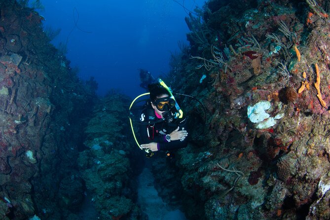 2-Tank Scuba Boat Trip in World-Class Sites @ Copamarina - The Wall, a sharp drop into the pelagic zone