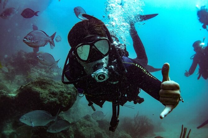 2-Tank Scuba Boat Trip in World-Class Sites @ Copamarina - A small group changes the feel of the day