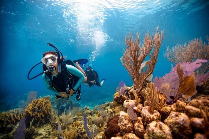 2-Tank Scuba Boat Trip in World-Class Sites @ Copamarina - What the $235 price really covers