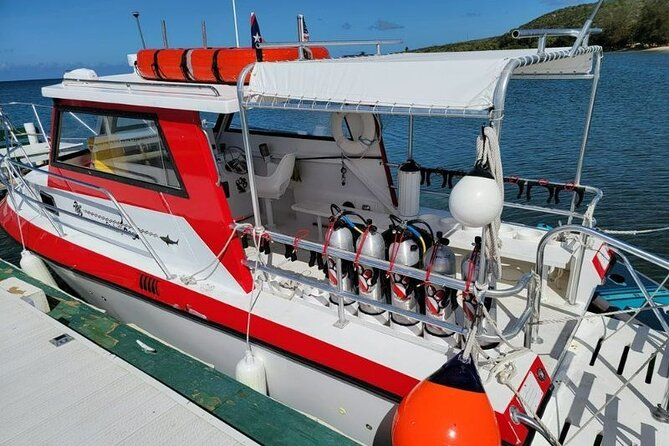 2-Tank Scuba Boat Trip in World-Class Sites @ Copamarina - The early start and five-hour schedule
