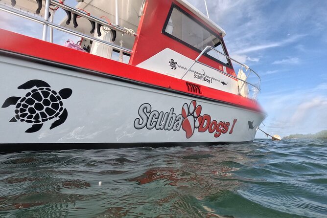 2-Tank Scuba Boat Trip in World-Class Sites @ Copamarina - Who will get the most from this trip