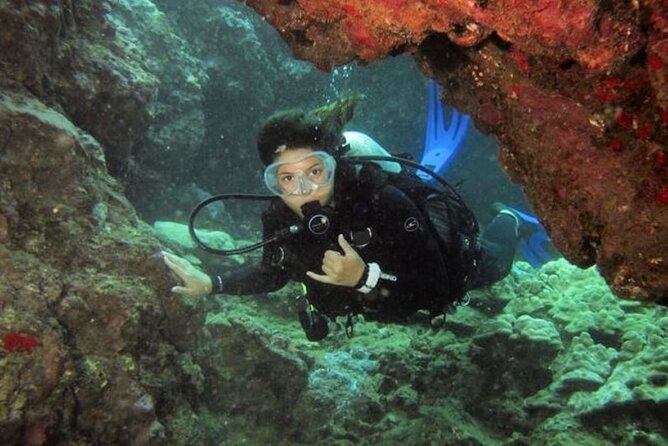 2 Tank Shore Dive at Sea Turtle Cove - Two tanks, 35 to 55 minutes each