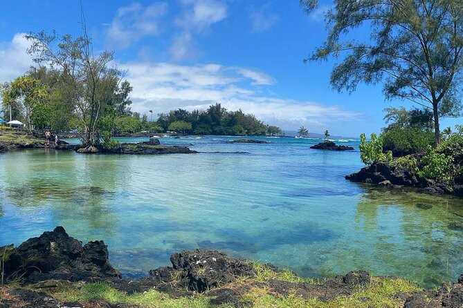 2 Tank Shore Dive at Sea Turtle Cove - Reef fish, corals, and the chance of turtles
