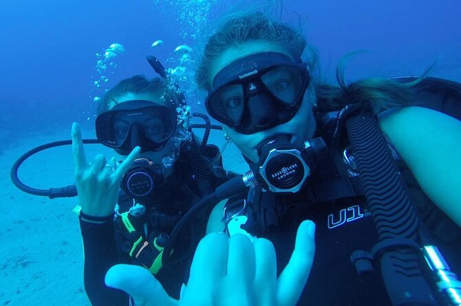 2 Tank Shore Dive at Sea Turtle Cove - What the equipment package really includes