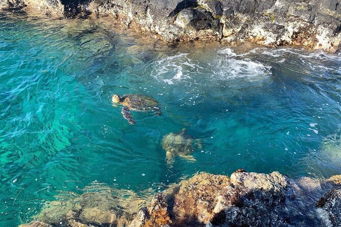 2 Tank Shore Dive at Sea Turtle Cove - Timing, transport, and the post-outing rule