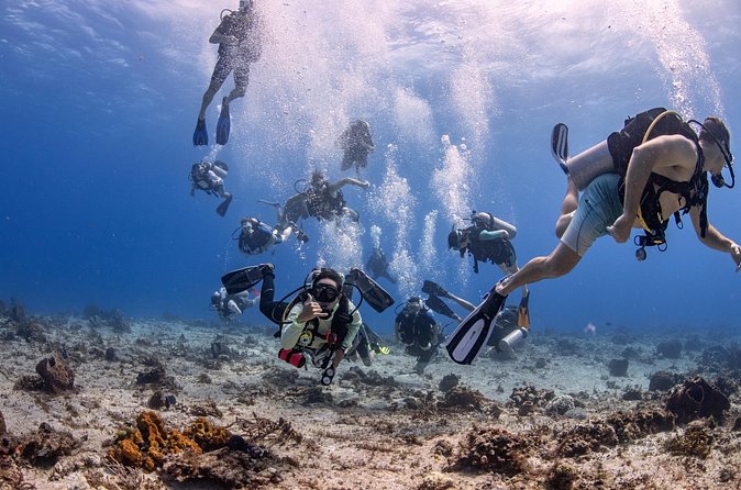 2 Tanks dives for Certified Divers in Cozumel - The hour between reef visits